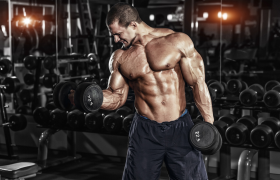 Olimp Whey Protein Complex 100% – działanie odżywki białkowej
