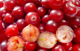 Żurawina - dlaczego pomaga w profilaktyce zapalenia pęcherza moczowego