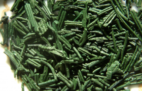 Spirulina – panaceum na wszystkie choroby