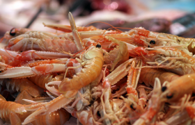 Dieta Montignaca – jadłospis