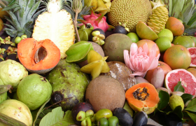 Dieta Montignaca – zalety