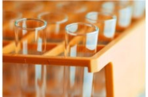Nanocząsteczki z cukru pomogą walczyć z nowotworami