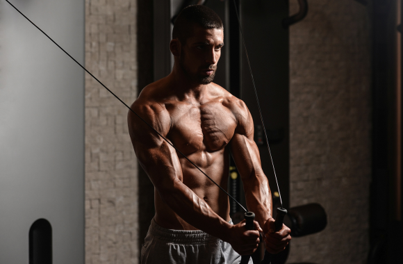 Zalety BSN CellMass 2.0
