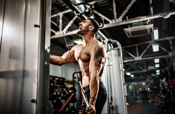 Muscletech Phase 8 – działanie, opinie, efekty