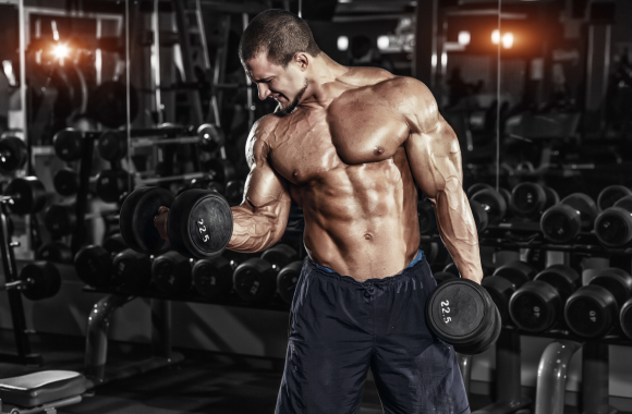 Olimp Whey Protein Complex 100% – działanie odżywki białkowej