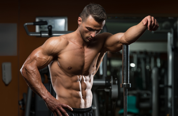 Hi Tec Protein 80 – wsparcie podczas treningów