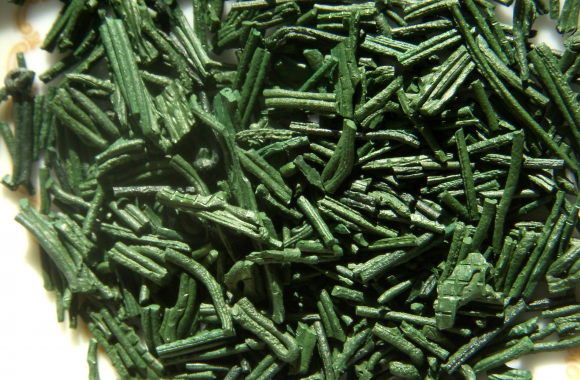 Spirulina – panaceum na wszystkie choroby