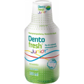 DENTOFRESH JUNIOR PŁYN DO PŁUKANIA JAMY USTNEJ 250 ML