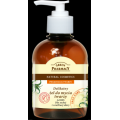ELFA ŻEL DO MYCIA TWARZY POMPKA ALOES 280 ML
