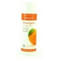 BENTLEY ORGANIC - SZAMPON DO CODZIENNEGO UŻYTKU 250 ML