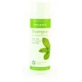 BENTLEY ORGANIC - SZAMPON DO WŁOSÓW NORMALNYCH I PRZETŁUSZCZAJĄCYCH 250 ML