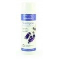 BENTLEY ORGANIC - SZAMPON DO WŁOSÓW  NORMALNYCH I SUCHYCH 250 ML