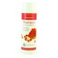 BENTLEY ORGANIC - SZAMPON DO WŁOSÓW SUCHYCH I ZNISZCZONYCH 250 ML
