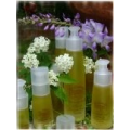 BIO TOSKANIA OLEJEK ARGANOWY 100 ML