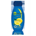 GARNIER Naturalna Pielęgnacja Szampon dla mężczyzn z cytryną +drugi za 50%