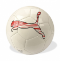 Piłka Nożna Puma Polska Speed Cat