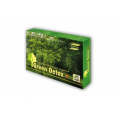 Naturgreen green Detox +10 plastrów