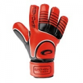 TRAINER