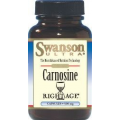 Swanson L-Karnozyna 500 mg, 60 kapsułek