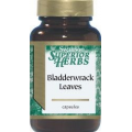 Swanson Bladderwrack Extract, Morszczyn pęcherzykowaty, 60 kapsułek