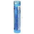 BOIRON  gran.Calcarea jodata 4g    9 CH*