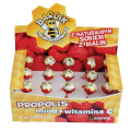 LIZAK BARCIK MALIN.Z WIT.C,MIOD.PROP*15