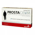 Prostaceum tabl. 30 tabl.