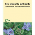Ziele bluszczyku kurdybanka, do przemyw. skory, 25 g