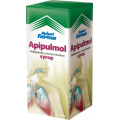 APIPULMOL  SYROP 120 ML