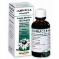 ECHINACEA-RATIOPHARM  KROPLE 50 ML
