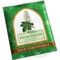 ZIELNIK APTECZNY - KWIAT KASZTANOWCA 20 G
