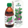 INTRACTUM MELISSAE WYCIĄG MELISY PŁYN 100 G