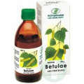 SUCCUS BETULAE PŁYN 100 ML