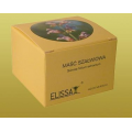UNGUENTUM SALVIAE  MAŚĆ 25 G  (MAŚĆ SZAŁWIOWA)