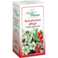 KWIATOSTAN GŁOGU  25 TOREBEK 1,5 G