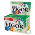 VIGOR JUNIOR - ZESTAW WITAMIN Z DODATKIEM ŻELAZA - WITAMINOWE ZWIERZAKI 30 TABL.
