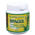 ISPAGUL ZIELE 100 G POJEMNIK