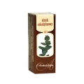 OLEJEK EUKALIPTUSOWY PROFARM 10 ML