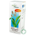 SIRUPUS PLANTAGINIS PHYTOPHARM  SYROP 150 G