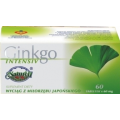 GINKGO INTENSIV 60 TABLETEK
