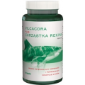 A-Z Medica Vilcacora + Chrząstka rekina, 100 kapsułek