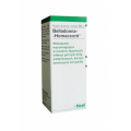 BELLADONNA HOMACCORD HEEL KROPLE 30 ML.