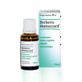 BERBERIS HOMACCORD KROPLE 30 ML.
