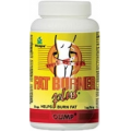 FAT BURNER PLUS 90 KAPSUŁEK OLIMP