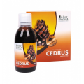 ALTER MEDICA CEDRUS OLEJ 100 ML