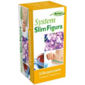 SYSTEM SLIM FIGURA OCZYSZCZANIE 21 SZT. HERBATKA FIX