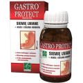 A-Z Medica Gastro Protect, Siemię lniane + aloes i zielona herbata, 80 kapsułek