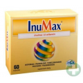 INUMAX 60 KAPS. 