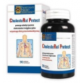 CHOLESTEROL PROTECT 90 TABLETEK