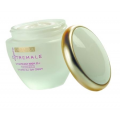 DERMIKA EXTREMALE EXPRESS DYNAMICZNY KREM 35+ NA DZIEŃ SPF 4